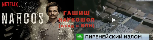 гашик Краснослободск