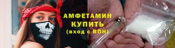 гашик Краснослободск