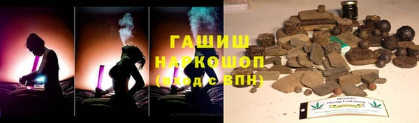 гашик Краснослободск