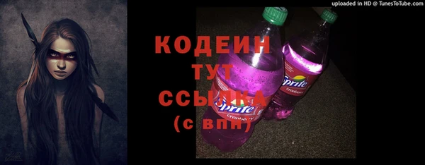 гашик Краснослободск