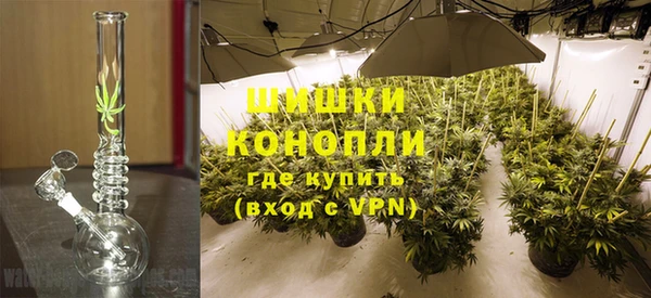 гашик Краснослободск