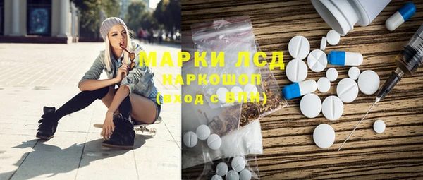 гашик Краснослободск