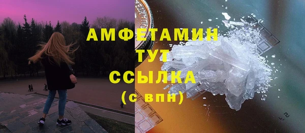 гашик Краснослободск